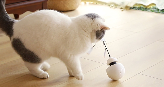 Robot Tumbler Cat Toy