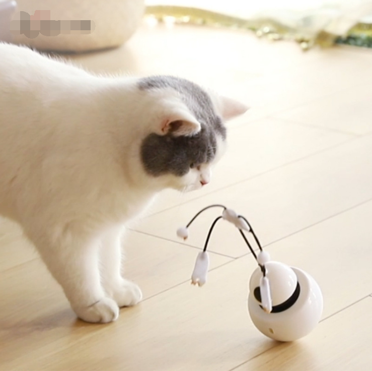 Robot Tumbler Cat Toy